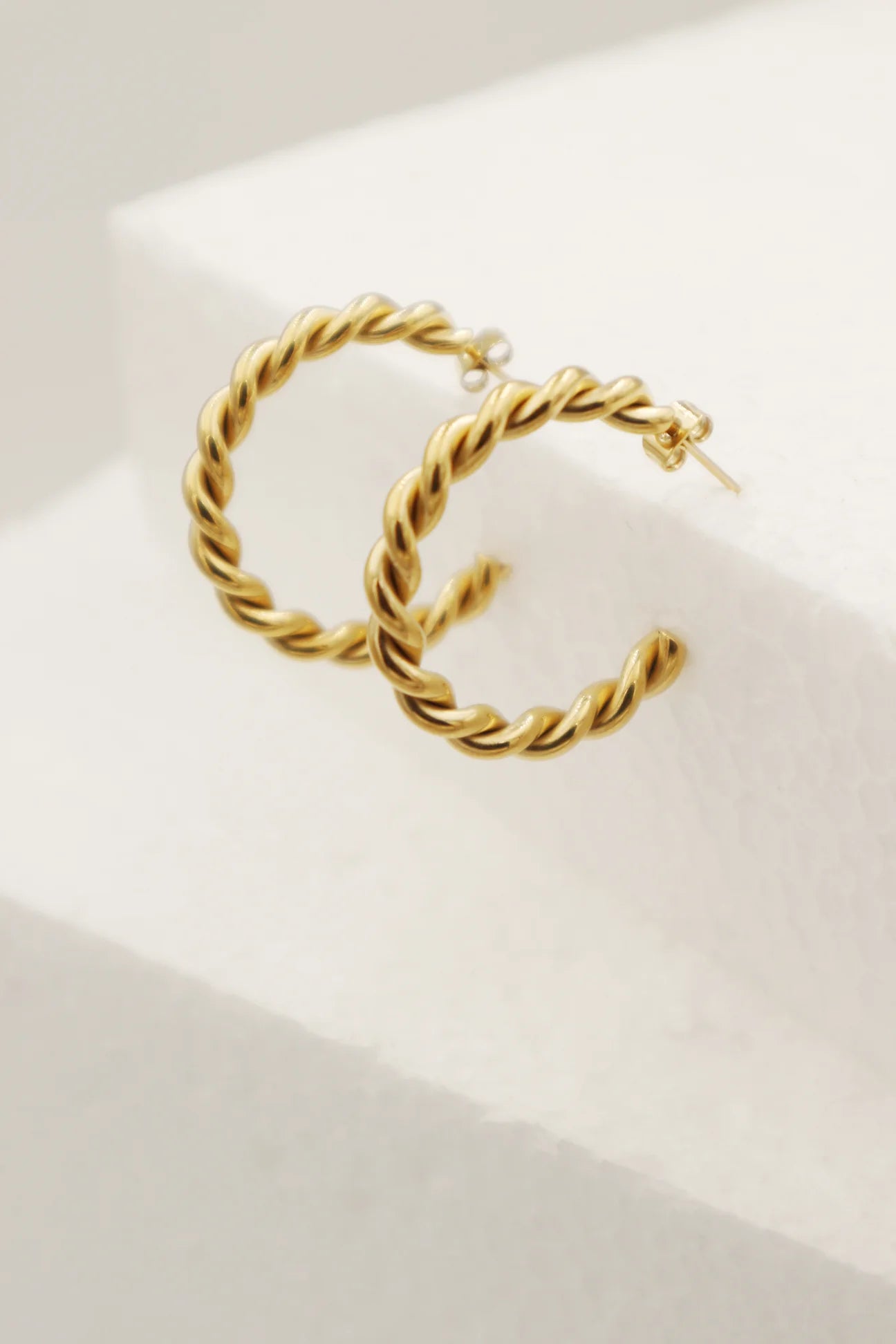 Twisted Hoop Oorbellen